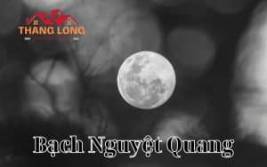 Bạch Nguyệt Quang