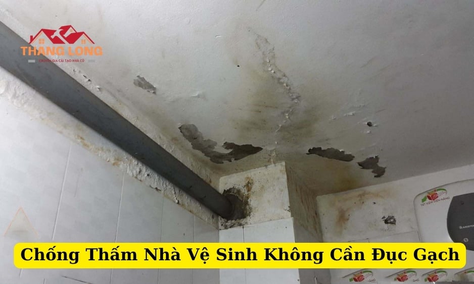 Chống Thấm Nhà Vệ Sinh Không Cần Đục Gạch